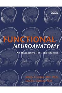 Functional Neuroanatomy