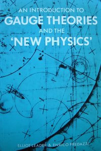 Intro Gauge Theory and New Physics
