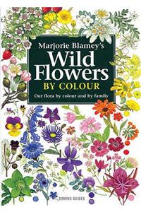 Wild Flowers by Colour