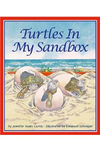 Turtles in My Sandbox