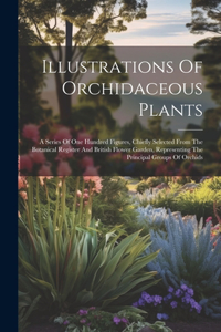 Illustrations Of Orchidaceous Plants