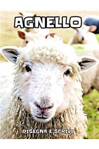 Agnello
