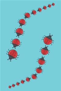 Ladybugs