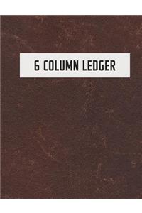 6 Column Ledger