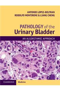 Pathology of the Urinary Bladder