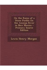 On the Ruins of a Stone Pueblo on the Animas River in New Mexico