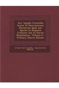 Ant. Iosephi Cavanilles Icones Et Descriptiones Plantarum Quae Aut Sponte in Hispania Crescunt Aut in Hortis Hospitantur, Volume 6