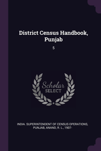 District Census Handbook, Punjab