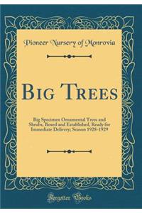 Big Trees