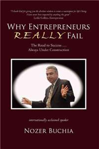 Why Entrepreneurs Really Fail