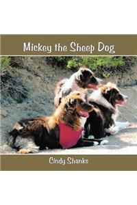 Mickey the Sheep Dog