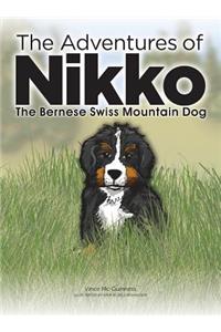 Adventures of NIKKO