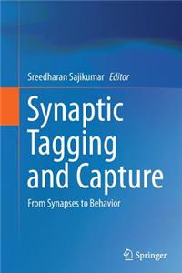 Synaptic Tagging and Capture