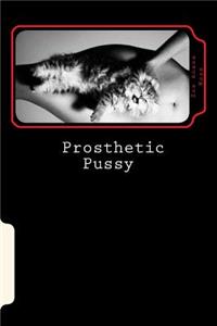 Prosthetic Pussy