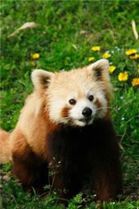 Mind Blowing Cute MOE Red Panda 150 Page lined journal
