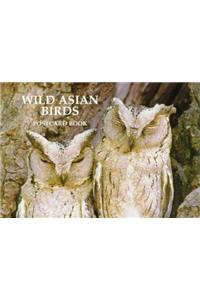 Wild Asian Birds Postcard Book