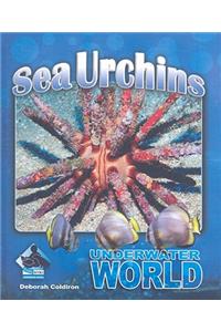 Sea Urchins