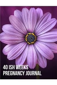 40ish Weeks Pregnancy Journal