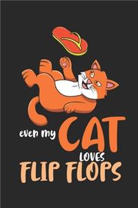 Even My Cat Loves Flip Flops