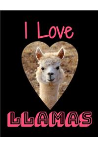 I Love Llama