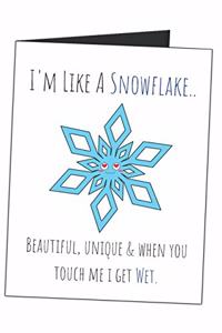 I'm Like A Snowflake.. Beautiful, Unique & When You Touch Me I Get Wet.