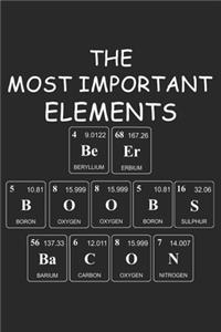 The Most Important Elements Beer Boobs Bacon