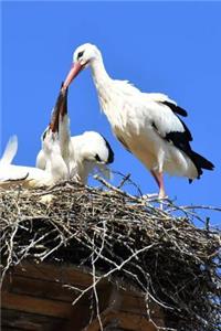 Feeding Time for the Stork Family Journal - Are You Hungry?