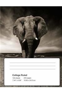 Elephant Composition Book