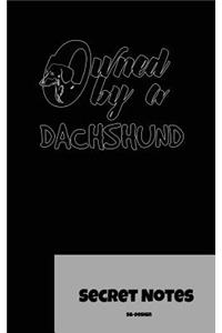 Owned by a Dachshund - Secret Notes