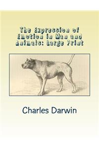 The Expression of Emotion in Man and Animals: Large Print