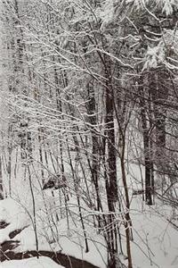 2019 Weekly Planner Winter Scenic Snowstorm 134 Pages