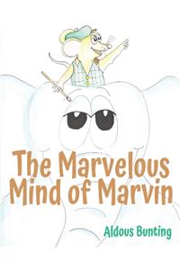 The Marvelous Mind of Marvin
