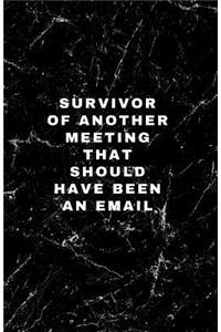 Survivor of Another Meeting That Should Have Been an Email