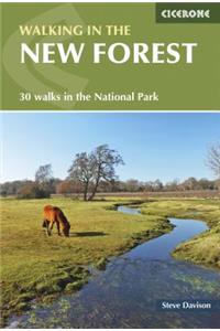 Walking in the New Forest