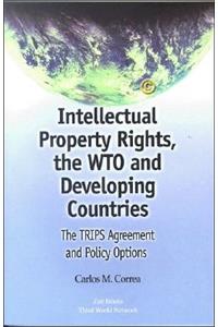 Intellectual Property Rights, the Wto and Developing Countries