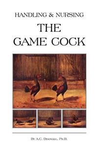 Handling and Nursing the Game Cock (History of Cockfighting Series)