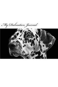 My Dalmation Journal