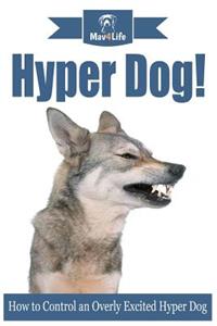 Hyper Dog!