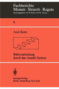 Bildverarbeitung Durch Das Visuelle System