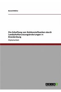 Schaffung von Kohlenstoffsenken durch Landschaftsnutzungsänderungen in Brandenburg