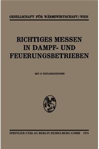 Richtiges Messen in Dampf- Und Feuerungsbetrieben