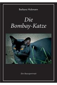 Die Bombay-Katze