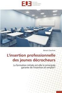 L'Insertion Professionnelle Des Jeunes Décrocheurs