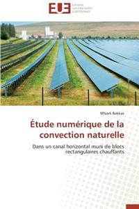 Étude Numérique de la Convection Naturelle