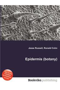 Epidermis (Botany)