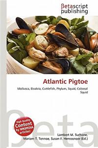 Atlantic Pigtoe