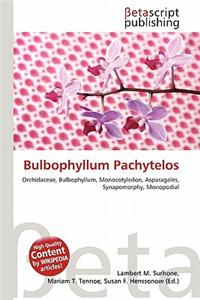 Bulbophyllum Pachytelos