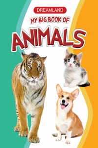 My Big Book Of Animals