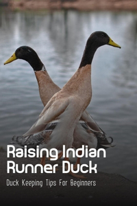 Raising Indian Runner Duck