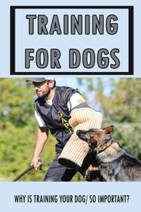Training For Dogs